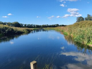 Ferienhaus Truust  13