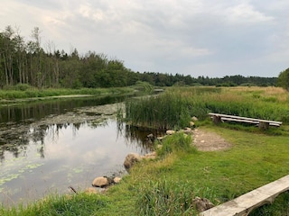 Ferienhaus Truust  27