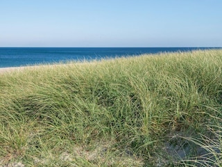 Ferienhaus Harboøre  37