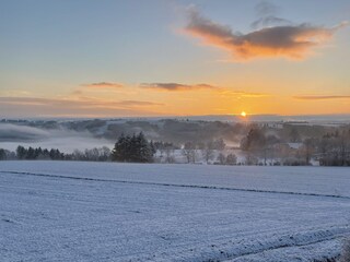 Holiday house Daleiden Outdoor Recording 12