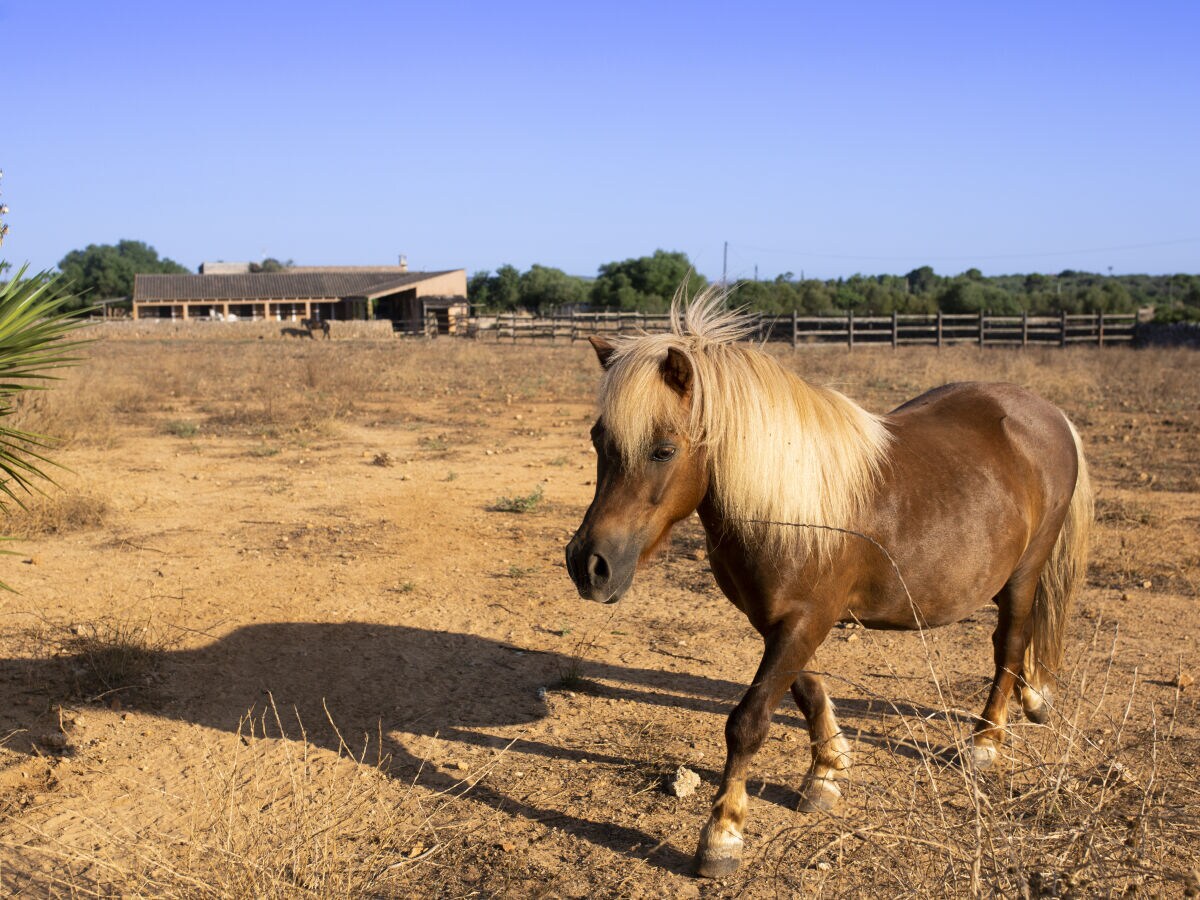 finca adyacente