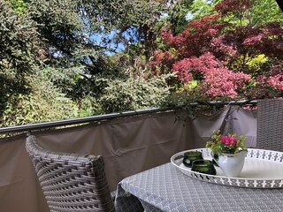 Holiday apartment Ettenheim Outdoor Recording 3