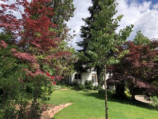 Holiday apartment Ettenheim Outdoor Recording 4
