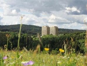 Ferienwohnung FeWo 416, Panoramic, Braunlage - Braunlage - image1