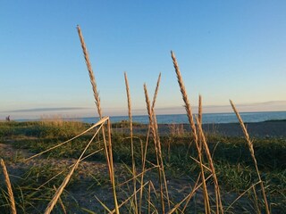 Vakantiehuis Karrebæksminde  24