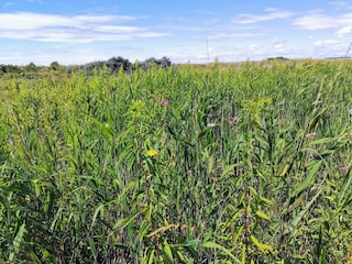 Ferienhaus Karrebæksminde  39
