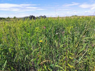 Vakantiehuis Karrebæksminde  37