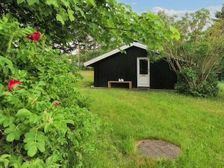 Ferienhaus Fjerritslev  2