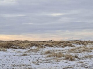 Ferienhaus Fjerritslev  9