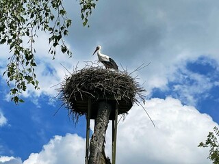 Ferienhaus Welt Außenaufnahme 7