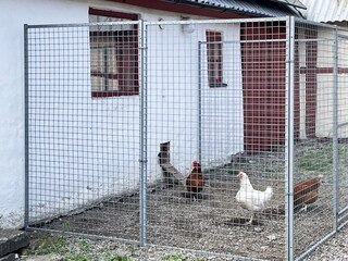Ferienhaus Welt Außenaufnahme 6
