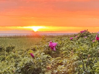 Vakantiehuis Sjællands Odde Buitenaudio-opname 2