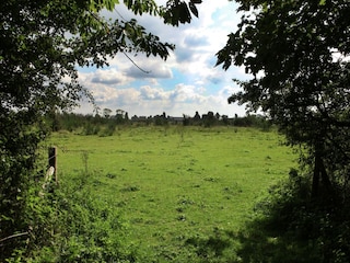 Apartment Bredene Umgebung 26