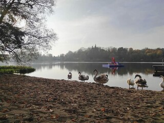 Appartement Schwaan Omgeving 24