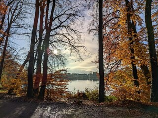 Appartement Schwaan Environnement 24