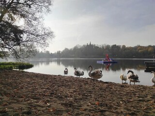 Apartment Schwaan Environment 25