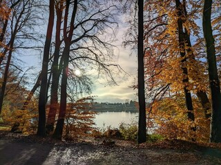 Apartamento Schwaan Entorno 23