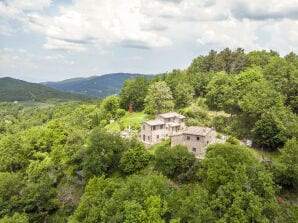 Villa La Casa Nel Bosco d'Arte in Tuscany - Greve in Chianti - image1