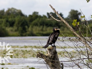 Ferienhaus Kalenberg Umgebung 39