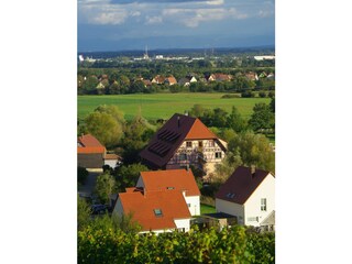 Dieffenthal