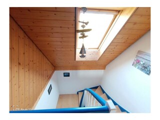 Ferienwohnung Konstanz Außenaufnahme 15