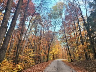 Casa per le vacanze Güssing Registrazione all'aperto 9