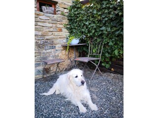 Casa per le vacanze Güssing Registrazione all'aperto 2