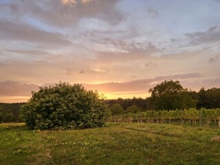 Casa per le vacanze Güssing Registrazione all'aperto 10