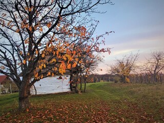 Casa per le vacanze Güssing Registrazione all'aperto 11