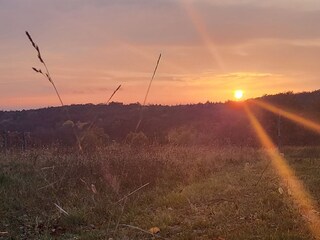 Casa per le vacanze Güssing Registrazione all'aperto 12