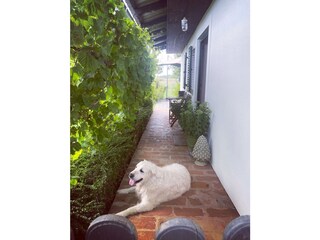 Casa per le vacanze Güssing Ambiente 7