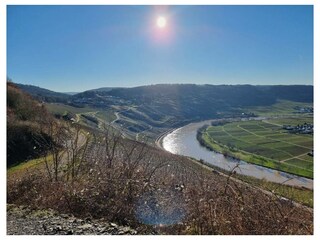 Ferienwohnung Leiwen Außenaufnahme 23