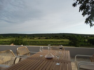 Villa Lozovac Outdoor Recording 5