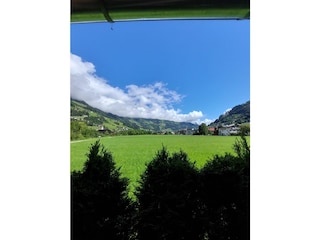 Ausblick