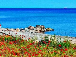 Vakantiehuis Otterup  22