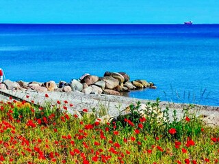 Maison de vacances Otterup  10