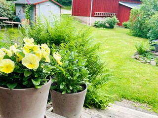 Vakantiehuis Grohed Buitenaudio-opname 8