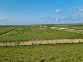 Vakantiehuis Dornumersiel Omgeving 19