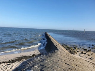 Vakantiehuis Dornumersiel Omgeving 28