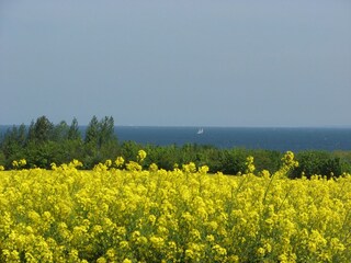Mecklenburgische Ostseeküste