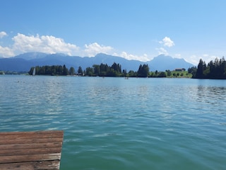 Forggensee