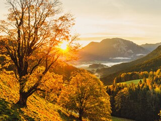 Herbst auf der Steinberg Alm