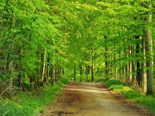 Appartement Oldenburg in Holstein Environnement 26