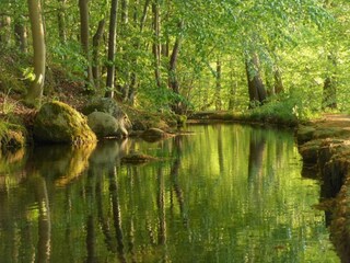 Casa de vacaciones Oldenburg in Holstein Entorno 30