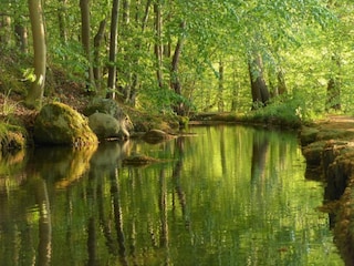 Casa per le vacanze Oldenburg in Holstein Ambiente 29