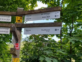 Apartment Olsberg Environment 45