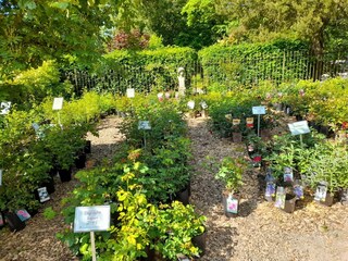 Appartamento Olsberg Ambiente 26