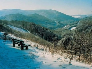 Apartment Olsberg Environment 38