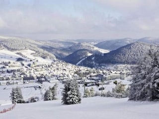 Apartment Olsberg Environment 40