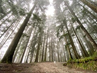 Casa per le vacanze Bibbiena Ambiente 30